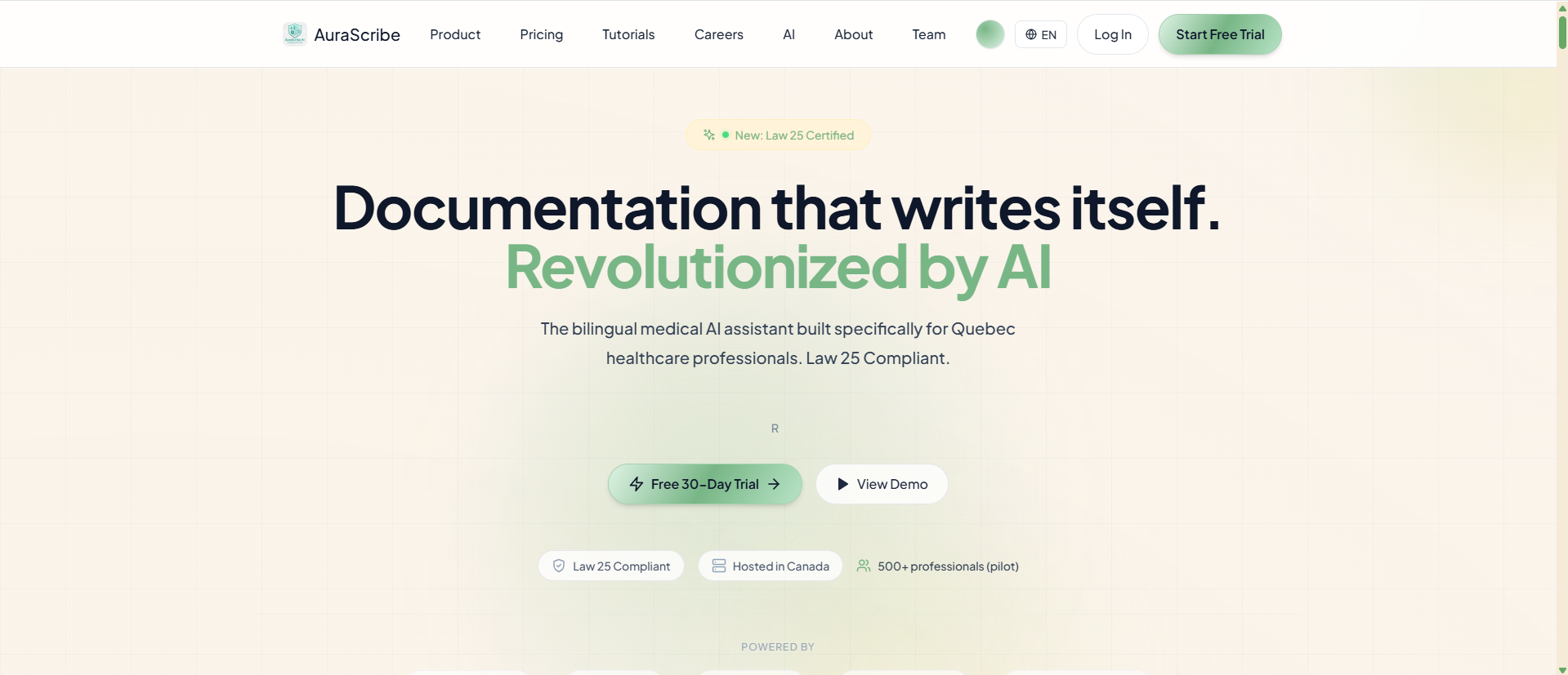 AuraScribe screenshot 2
